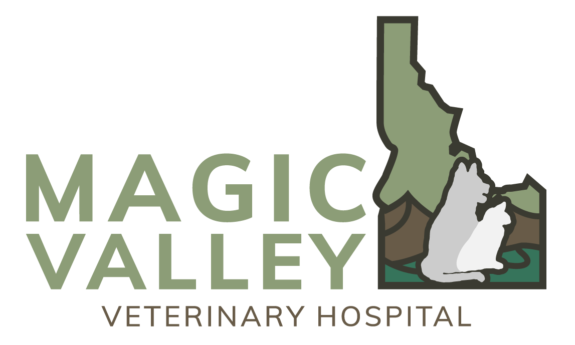 Magic Valley Veterinary Hospital