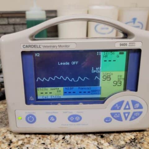 Pet ECG Twin Falls, ID 83301 | Magic Valley Veterinary Hospital