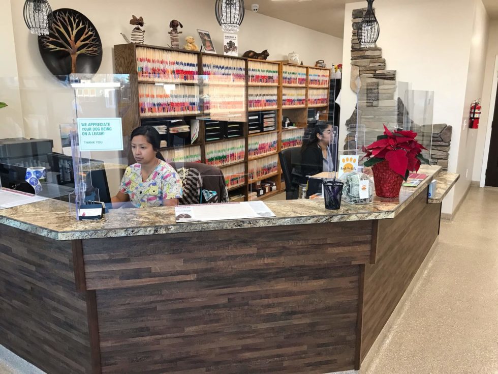 Best Veterinary Hospital In Twin Falls, ID Magic Valley Veterinary Hospital